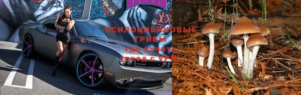 дживик Алзамай