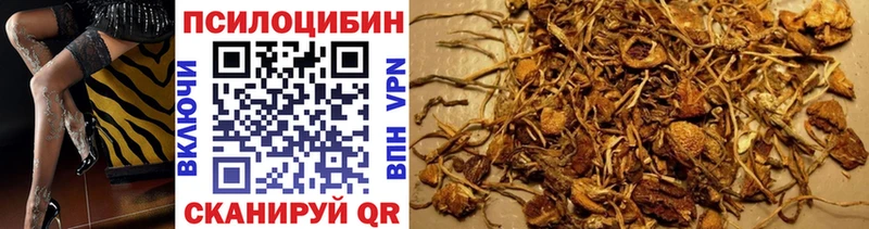 Псилоцибиновые грибы прущие грибы  Лагань 